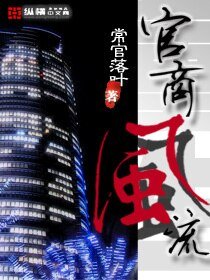 《重生之官商风流》
