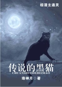 （综漫同人）传说的黑猫