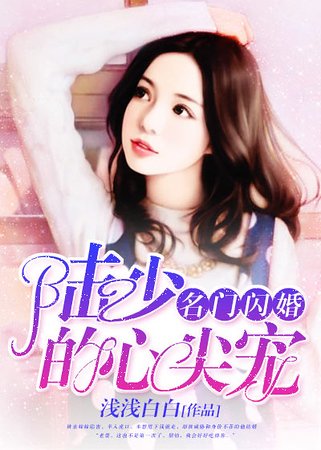 名门闪婚:陆少的心尖宠