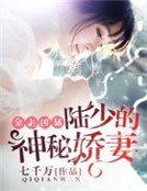 金主凶猛:陆少的神秘娇妻