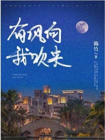 有风向我吹来