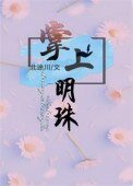 《掌上明珠(作者:北途川)》