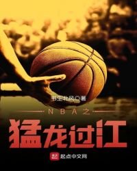 《NBA之猛龙过江》