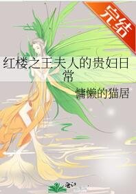 （红楼同人）红楼之王夫人的贵妇日常