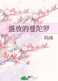 盛放的曼陀罗