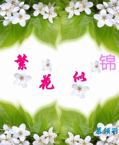 繁花似锦