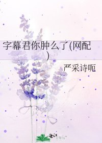 《字幕君你肿么了(网配)》