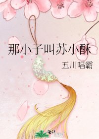 《那小子叫苏小酥》
