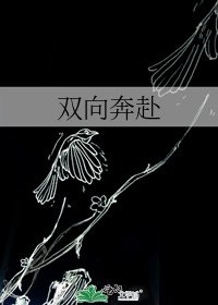 《双向奔赴》