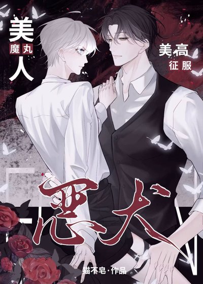 魔丸美人,美高征服恶犬