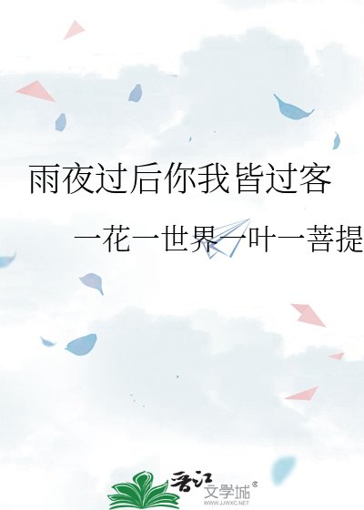 雨夜过后你我皆过客