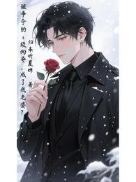 被争夺的s级向导,成了我老婆?