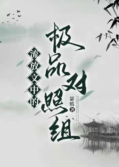 流放文中的极品对照组！