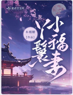 丫鬟小福妻