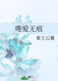 《唯爱无痕》